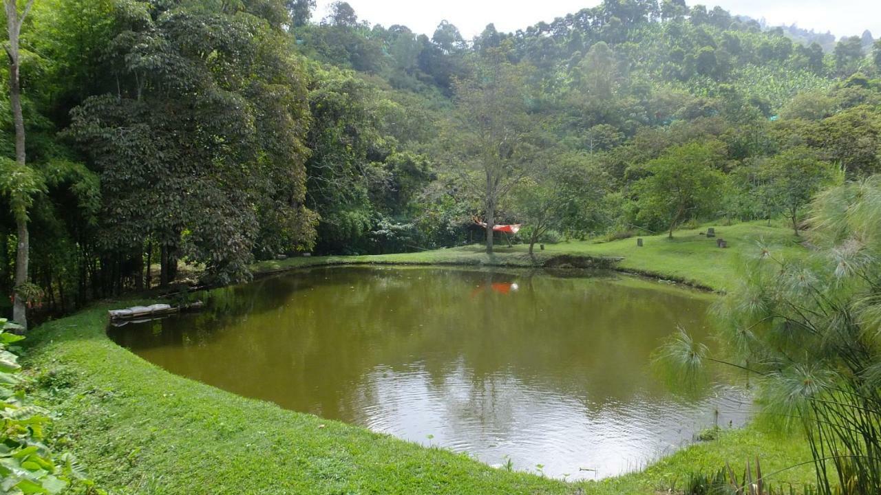 Sonarte Reserva Natural Cordoba  Exterior photo