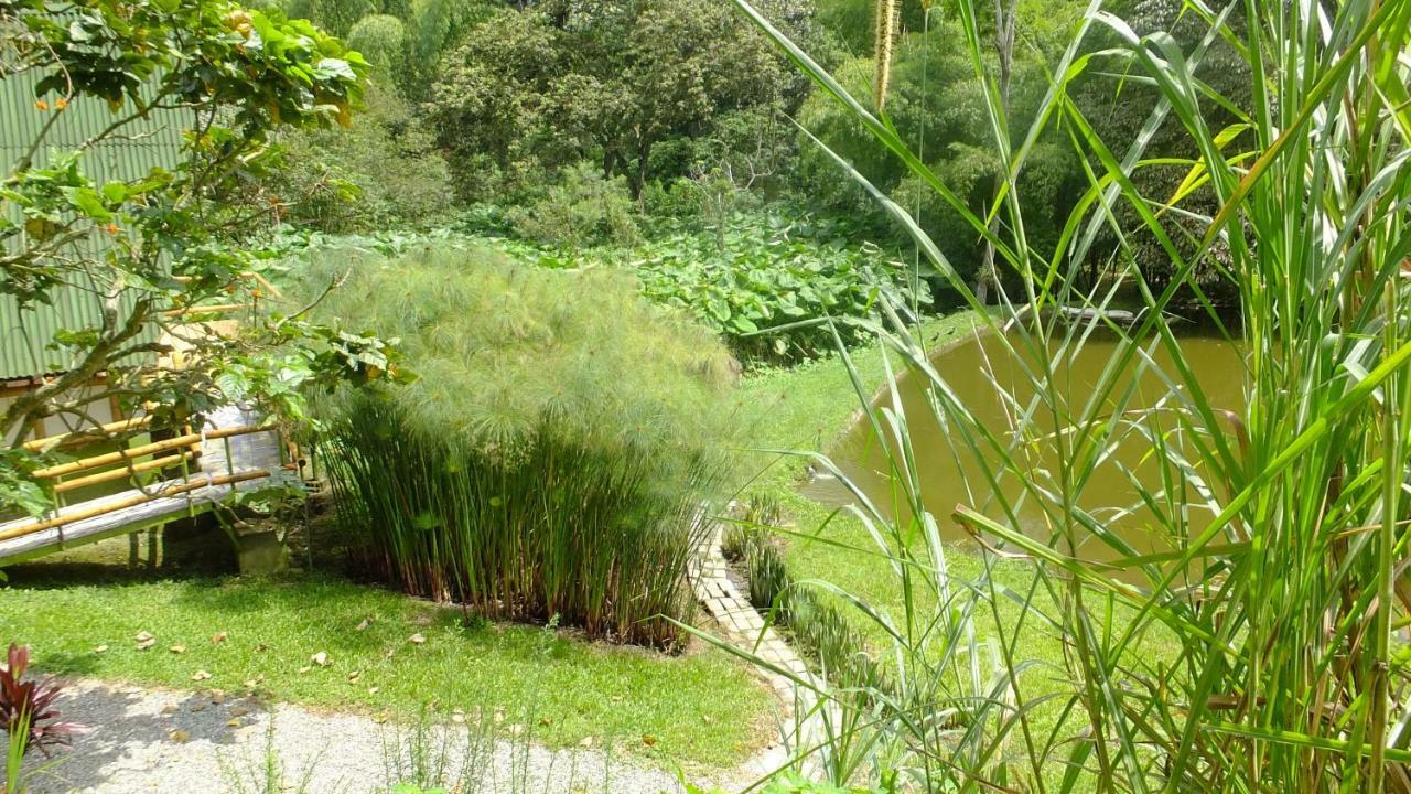 Sonarte Reserva Natural Cordoba  Exterior photo